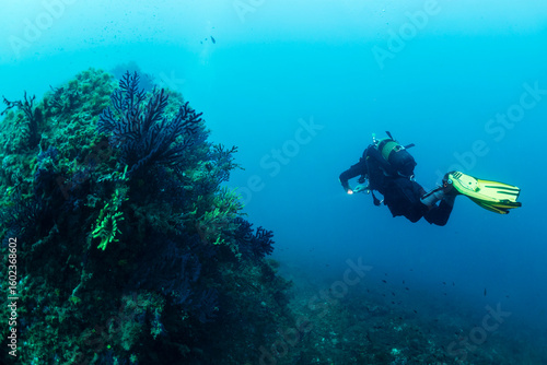 Wallpaper Mural diver diving next to a rock covered in corals and gorgonians, concept of scuba diving and underwater adventure, copy space for text Torontodigital.ca