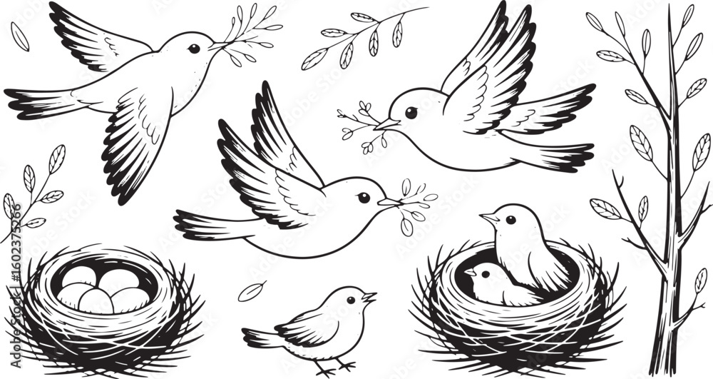 Fototapeta premium Birds Nesting Twigs Branches Illustration