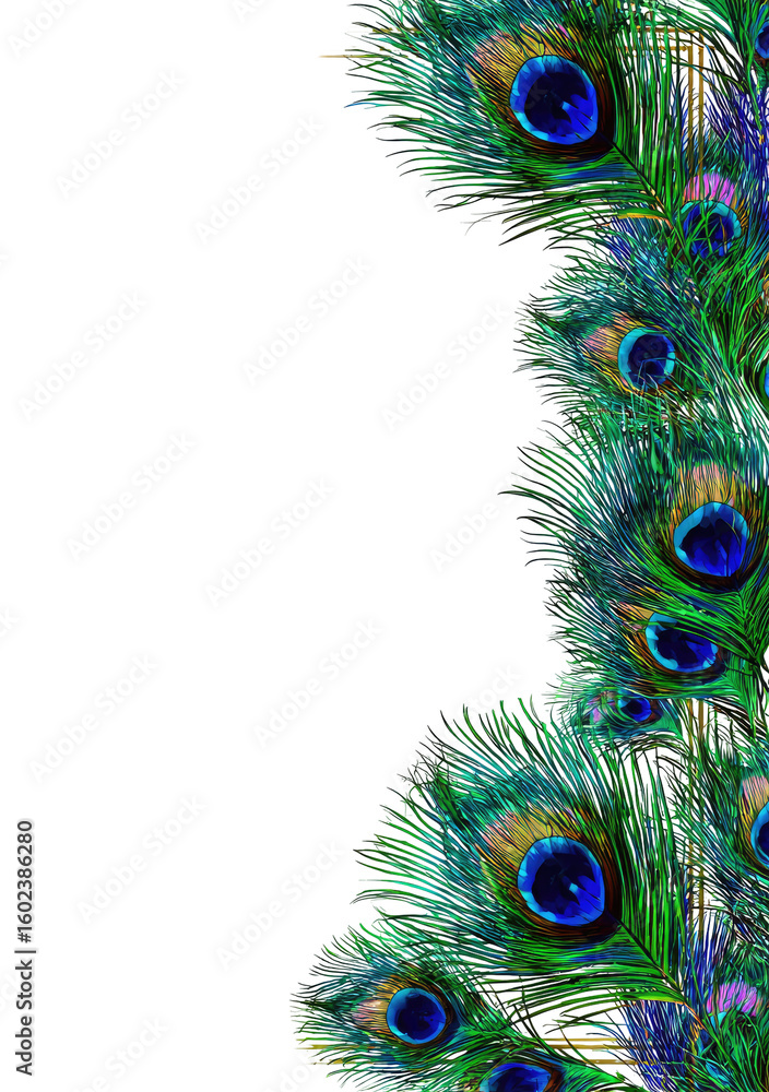 Fototapeta premium Peacock feather border against black