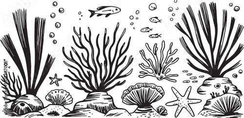 Underwater Ocean Floor Scene with Coral Reef and Seaweed