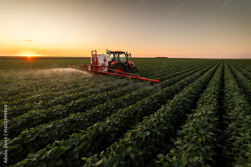 Obraz premium Tractor spraying crops in a lush green field at sunset.