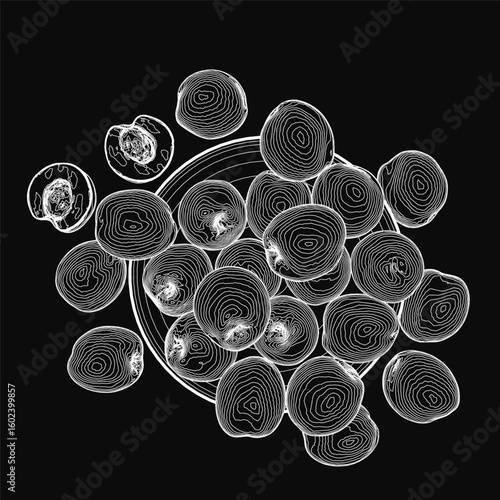 Black and white illustration of abstract circles resembling nectarine contours on a dark background. The circular pattern features unique shapes and textures for each element.