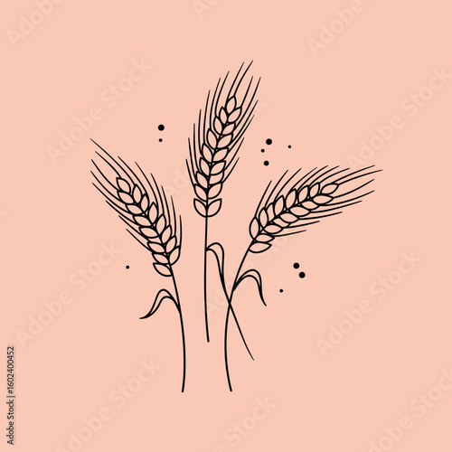 Wheat ears line drawing on soft pink background