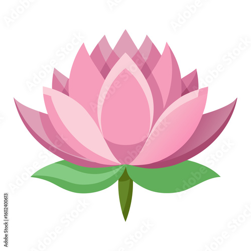 lotus flower 