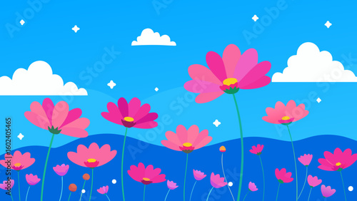 wide meadow cosmos blooms blue sky vintage