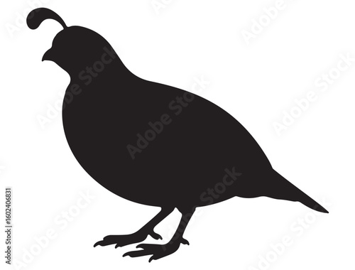 QUAIL SILHOUETTE
