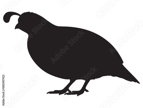 QUAIL SILHOUETTE