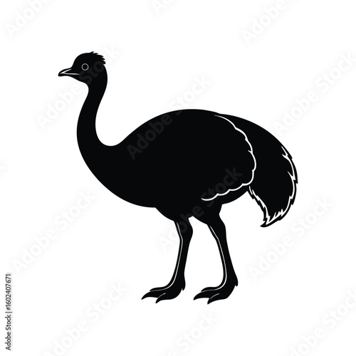 a cassowary bird full black silhouette vector illustration on white background