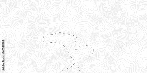 Abstract pattern waves lines seamless pattern and topography map and counter map. abstract sea map and mount map area space geometrics line technology topo landscape grid map texture.	