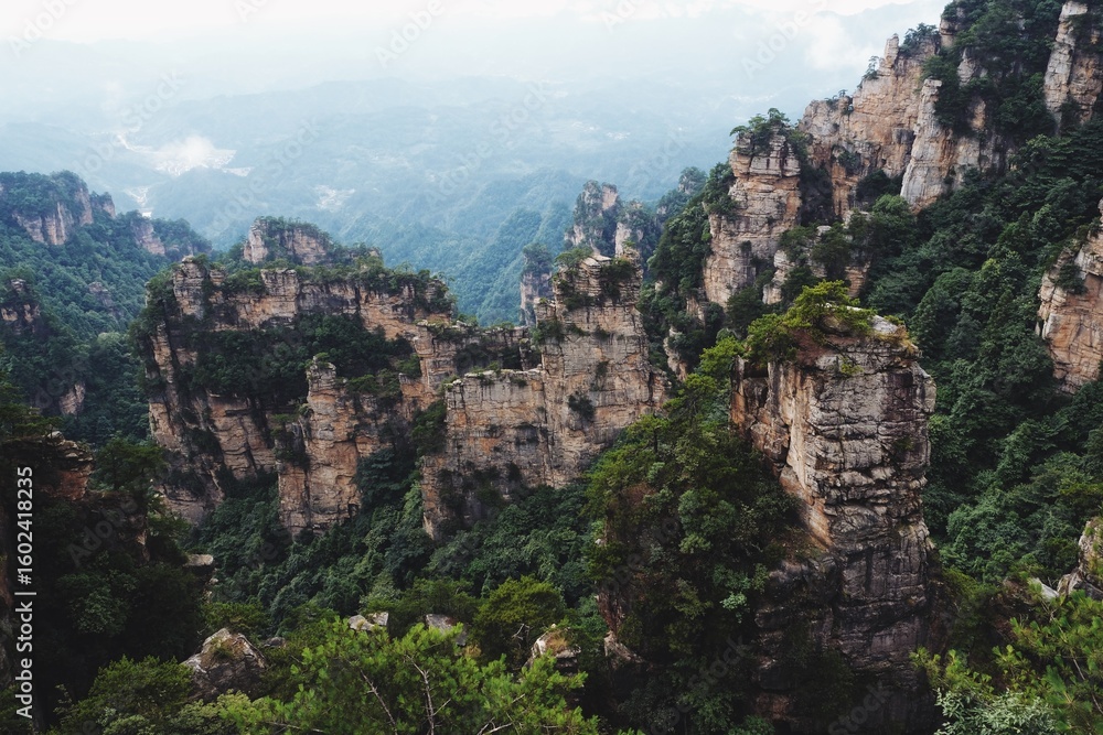 Obraz premium Misty morning view of Zhangjiajie landscape showcasing towering cliffs and lush greenery
