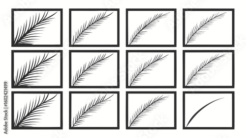 Black palm frond brush strokes in square frames black and white