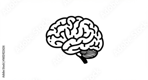 A simple, black and white illustration of a human brain.