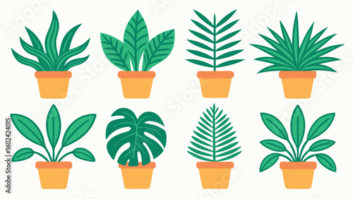 Eight potted houseplants in a flat illustration style