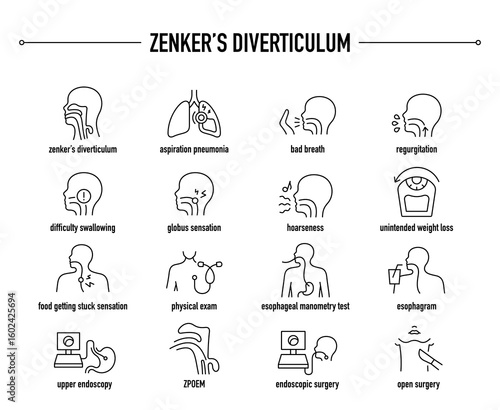 Zenker's Diverticulum symptoms, diagnostic and treatment vector icon set. Line editable medical icons