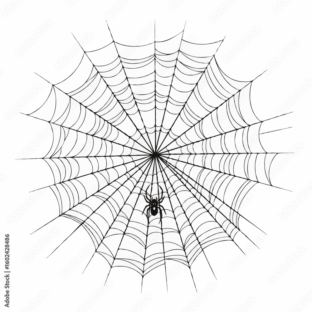 Fototapeta premium spider web vector illustration