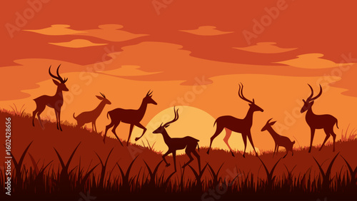 herd impalas jumping tall grass dusk