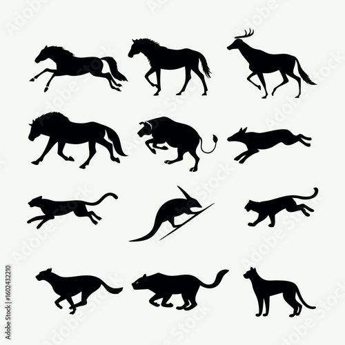 Canvas Print Silhouettes of Fast-Running and Jumping Animals