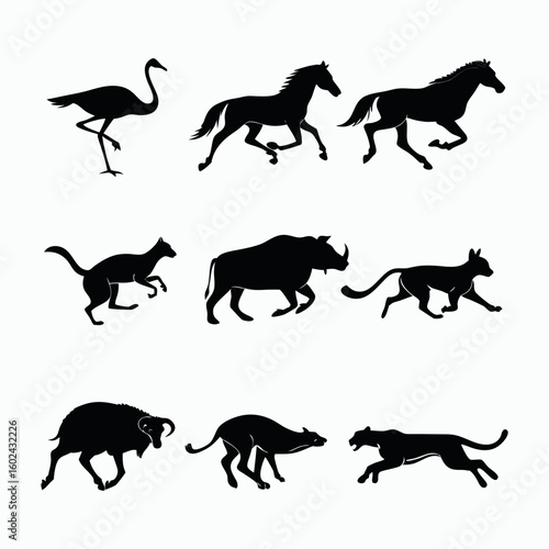 Photography Silhouettes of Fast-Running and Jumping Animals