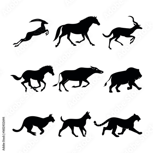 Canvas Print Silhouettes of Fast-Running and Jumping Animals
