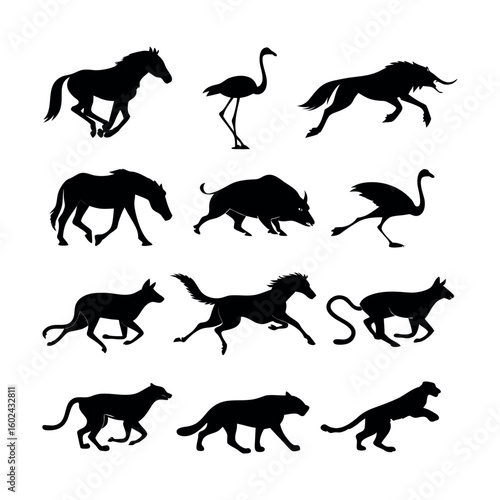 Canvas Print Silhouettes of Fast-Running and Jumping Animals