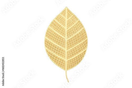 Golden leaf with glowing grid texture isolated on transparent background, perfect for nature, autumn, and decorative design projects