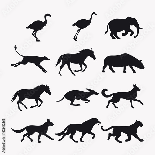 Canvas Print Silhouettes of Fast-Running and Jumping Animals