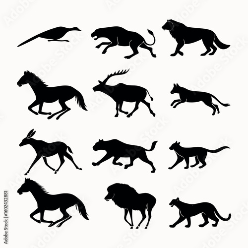 Photography Silhouettes of Fast-Running and Jumping Animals