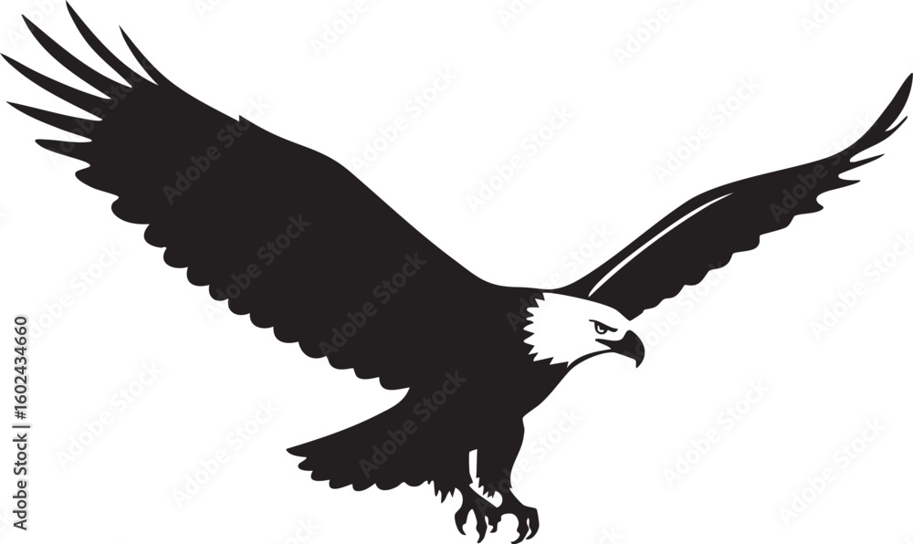 Obraz premium Majestic bald eagle in flight silhouette with wings spread wide