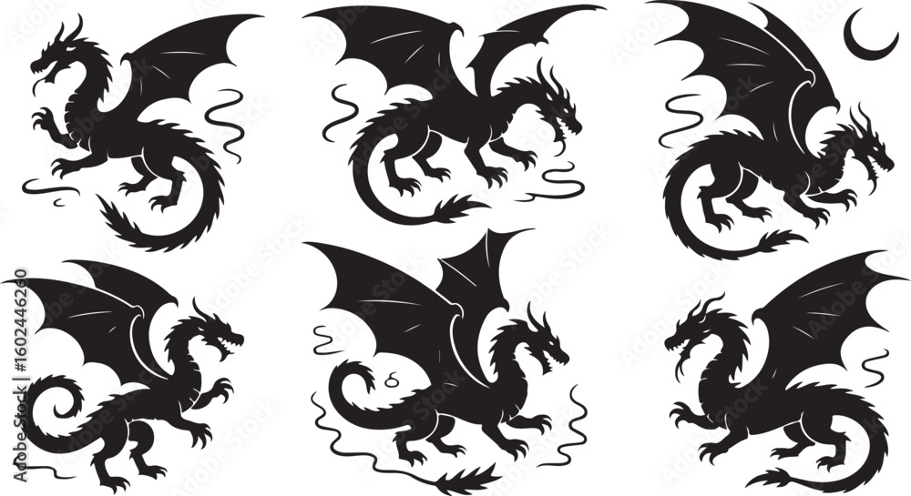 Obraz premium dragon silhouettes