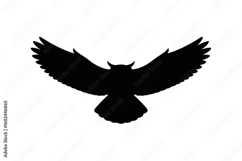 Obraz premium Owl in flight silhouette bird flying