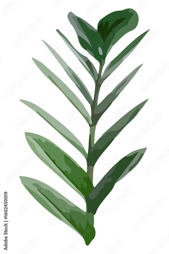 Obraz premium Leaf PNG clipart, Zanzibar plant image