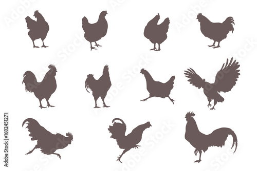 Vector illustration of hens and roosters in different poses, stylized farm birds set