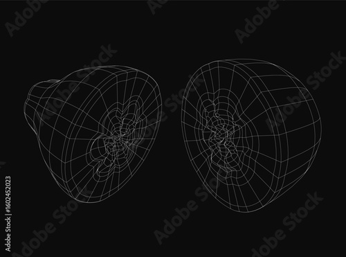 A black and white 3D wireframe illustration of a halved papaya with intricate white lines on a dark background. The detailed line art highlights the smooth texture, inner seeds, and organic curves