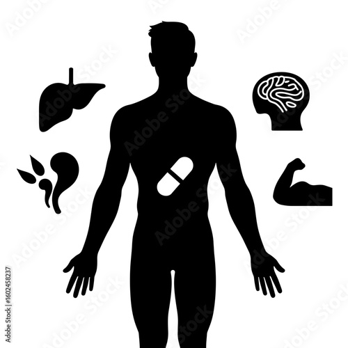 Silhouette of human body with capsule and organ icons – metabolic health support, wellness