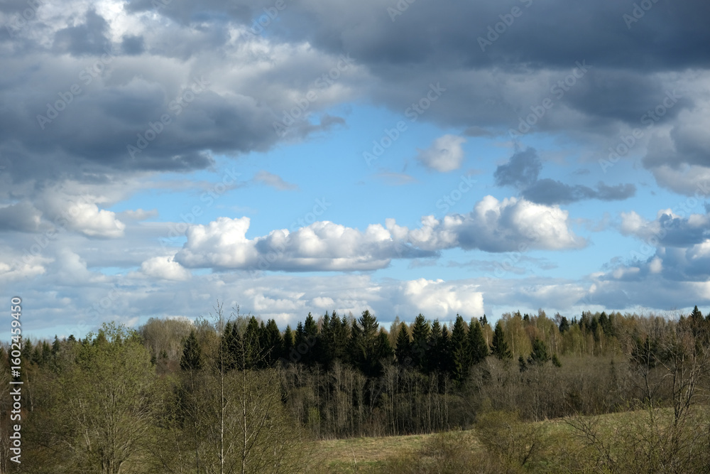 Obraz premium landscape with trees and clouds