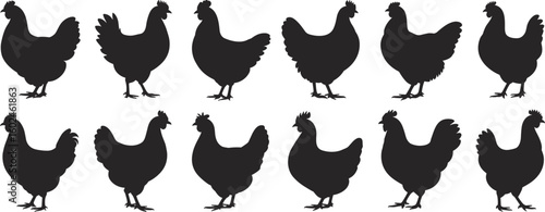 Hen silhouette collection, chicken farm animal vector set, poultry side view illustrations, minimalist barnyard bird art, editable vector graphic