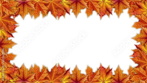 Vibrant Autumn Maple Leaves Border Frame On White Background For Seasonal Content And Festive Content,a Beautiful Border Of Colorful Autumn Maple Leaves Framing A White Center, Perfect For Fall Design
