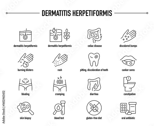 Dermatitis Herpetiformis symptoms, diagnostic and treatment vector icon set. Line editable medical icons