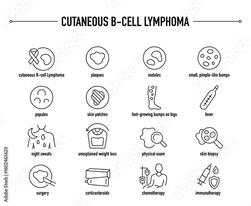 Cutaneous B-Cell Lymphoma symptoms, diagnostic and treatment vector icon set. Line editable medical icons