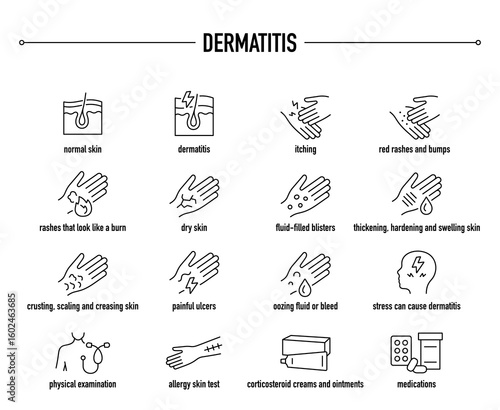 Dermatitis symptoms, diagnostic and treatment vector icon set. Line editable medical icons