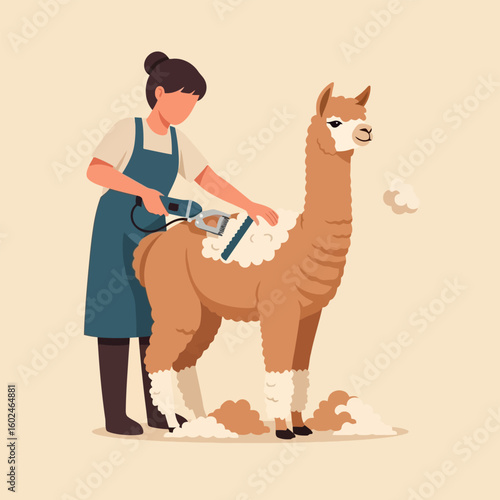 Woman Grooming Brown Alpaca with Electric Clippers on Beige Background