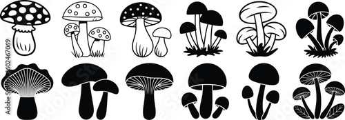 Mushroom silhouette vector bundle – forest fungi clipart set for nature designs, wild mushroom icons, botanical illustrations