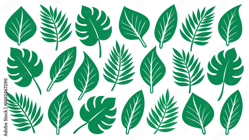 Obraz premium Green tropical leaves pattern on white background leaf