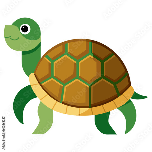 turtle vector illustration