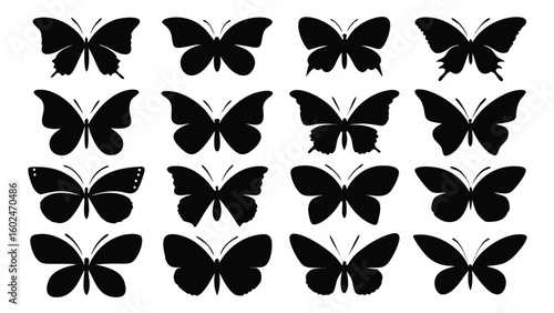 Sixteen Black Butterfly Silhouettes on White Background