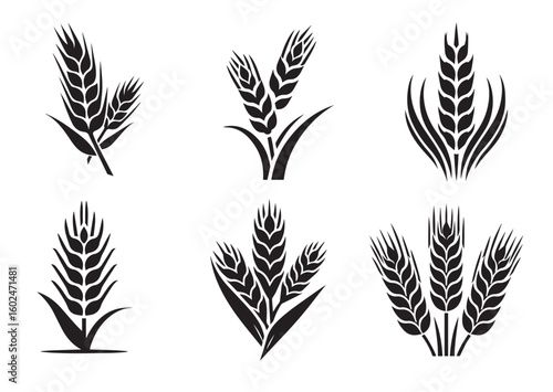 Agriculture wheat ear silhouette vector illustration Set