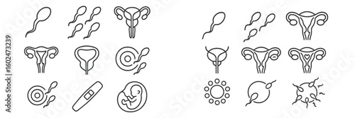Diagram illustrating the human reproductive system, including sperm, egg, implantation, and early embryo development stages