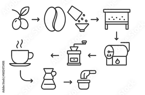 Steps in the coffee brewing process from bean to cup in a simple and minimalist style diagram
