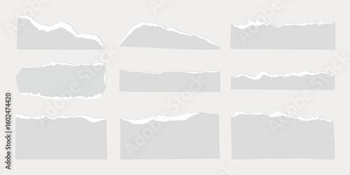 Set of torn paper edges, showcasing various ripped paper designs. Torn paper, ripped paper, paper edges in different shapes and sizes. Perfect for creative projects. Gray element vector set.