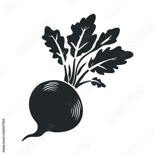 Black silhouette of radish with leaves on white background